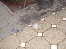 P9040092