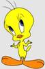tweety-pictures