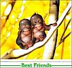 best_friends_1150878796[1]