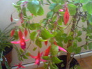 Picture 024