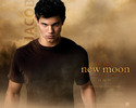 Taylor_Lautner_in_The_Twilight_Saga__New_Moon_Wallpaper_4_800