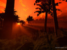 First Rays of Light