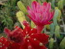 DSC09547
