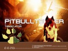 pitbullterminator