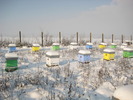 IMG_0023 (3)