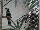 IMG_0182