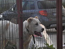 poze 01.05.2009 140