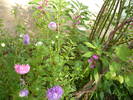 P1010035