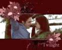 edward and bella cullen