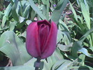 Imag041