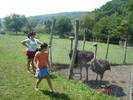 Sighisoara Aug.2006 211