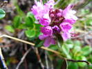 DSCF3042