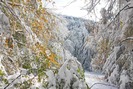 Iarna-Maramures_19