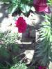PICT0057