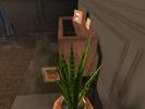gallery135