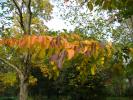 DSC00291