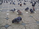 P9040134