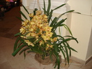 DSC01062