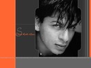 shahrukh_khan_wallpapers_054