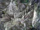 PICT0058