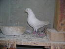 DSC02381