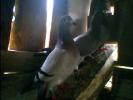 IMG0227A