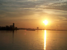 Morning Glory