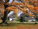 New Forest, Hampshire, England