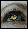 Eyes magic (49)