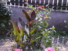 Picture 024