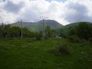 Poze 042