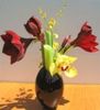 amarilis-sf-maria