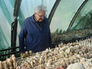 Farkas Janos