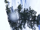 DSCF6953
