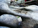 DSCF5276