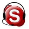 Skype Headset