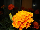 DSC02683