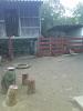 DSC00624