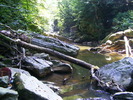 DSCF5265