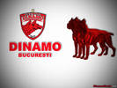 Dinamo_Wallpapers_022