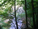 DSCF5311