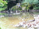 DSCF5050