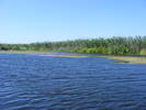 Picture 148