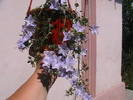 Picture 003