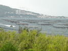 DSCN1586