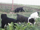 poze 04.05.2009 088