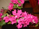 DSC02601