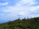 DSCF0329