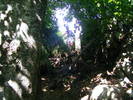 DSCF4505