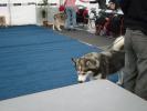 Picture 077